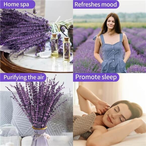 Dried Purple Lavender Flowers Bundle-Dried Preserved Lavender Bouquet 15-17" - Picture 4 of 7